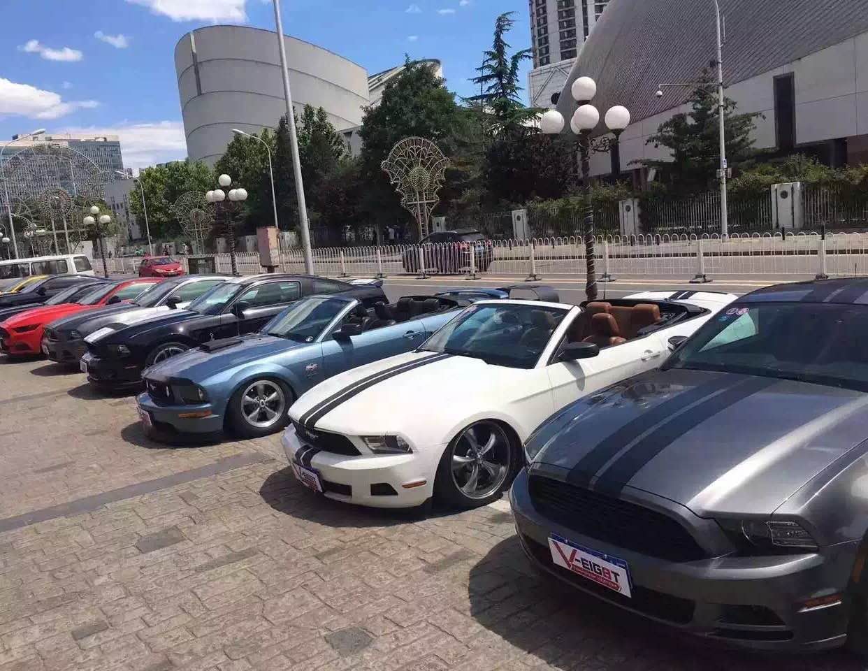 250106_143015_5252.jpg 26.jpg