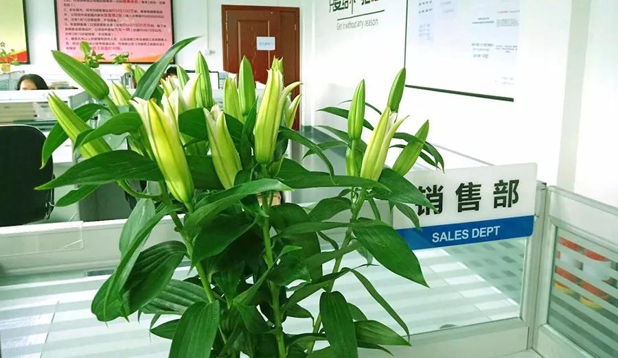 濃情七夕，最美祝福！